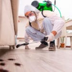 Lutte antiparasitaire : pourquoi engager des experts ? lutte antiparasitaire